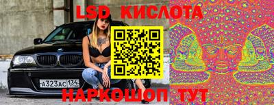 эйфоретик Кандалакша