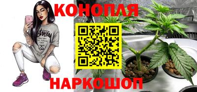 эйфоретик Кандалакша