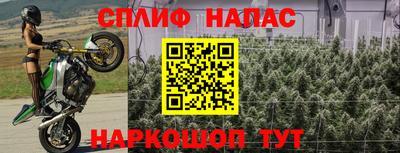 эйфоретик Кандалакша