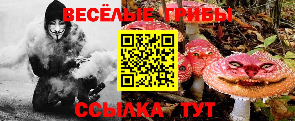 Псилоцибиновые грибы ЛСД  Вход с VPN  Камышин 