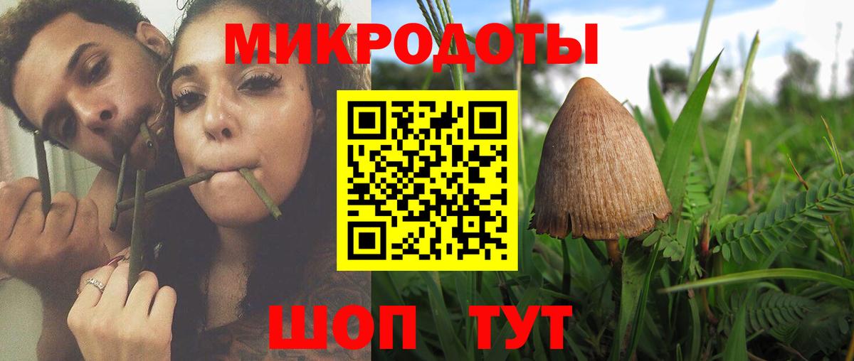 Галлюциногенные грибы мухоморы Камышин